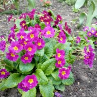 На улицах города :: Елена Семигина На улицах города :: Елена Семигина