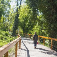 Екатериненский сад,Симферополь,Экотропа :: Валентин Семчишин Екатериненский сад,Симферополь,Экотропа :: Валентин Семчишин