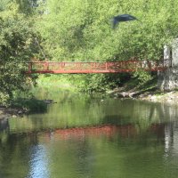 Прогулки по Екатеринбургу :: Елена Шаламова