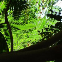 Мармарис  июнь  Турция :: Елена Шаламова