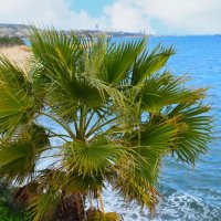 *** :: Oleg4618 Шутченко *** :: Oleg4618 Шутченко