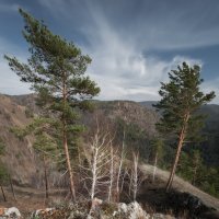 * :: Александр Иванов