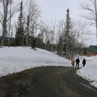 По дорожкам ботанического сада :: Ольга По дорожкам ботанического сада :: Ольга