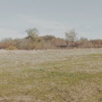 Русская саванна. :: Игорь Солдаткин