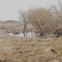 Одинокий прудик. :: Игорь Солдаткин