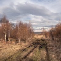 Весеннее состояние :: Марина Фомина.