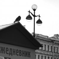 /// :: Виктор Никитенко