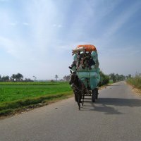 Грузо-пассажирская шайтан-арба. :: unix (Илья Утропов)