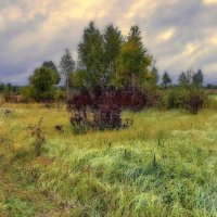 Сельский пейзаж :: Денис Масленников