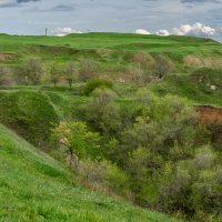 Апрель :: Игорь Сикорский