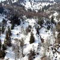 ВОСКРЕСНАЯ ПРОГУЛКА. :: Виктор Осипчук