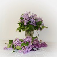 "Букет сирени на столе ...." :: Галина 