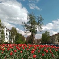 *** :: Валентина Береснева