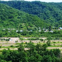 Южный пейзаж :: Геннадий Фадеев