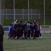 Командный дух. :: Наталья Вязигина