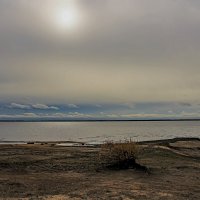 *** :: веселов михаил 