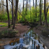 Но солнце надо было ловить :: Андрей Лукьянов