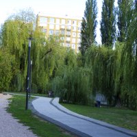 Природа в парке :: Валентин Семчишин