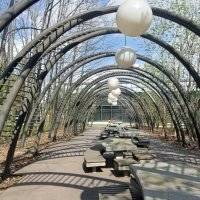 весенние тени :: ИРЭН@ .