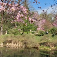 В весеннем саду :: ИРЭН@ . В весеннем саду :: ИРЭН@ .