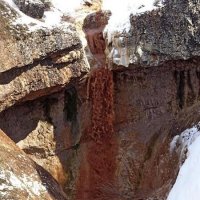 ВОСКРЕСНАЯ ПРОГУЛКА. :: Виктор Осипчук