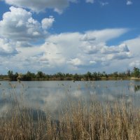 Донские виды. :: Виктор 