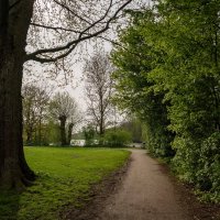 *** :: Николай Гирш *** :: Николай Гирш