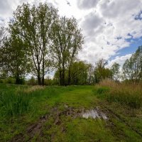 После дождей... :: Николай Гирш