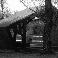 С видом на пруд. :: Василий Палий