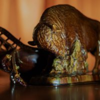 Зубр :: sorovey Sol