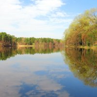 Утро на озере :: Андрей Снегерёв