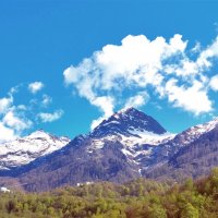 ЭстоСадок :: Дмитрий Михайлиди