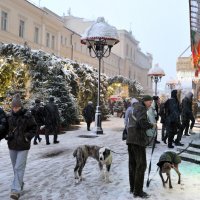 * :: Виктор Берёзкин