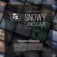 10th 35AWARDS - Зимний пейзаж :: Валентина Харламова