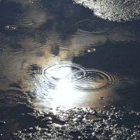 Первые капли дождя :: Сергей Швечков Первые капли дождя :: Сергей Швечков