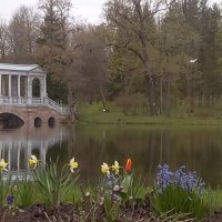 Весна :: Сапсан 