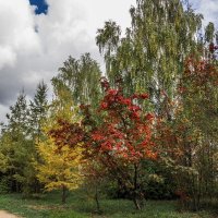 Пейзаж :: SanSan 