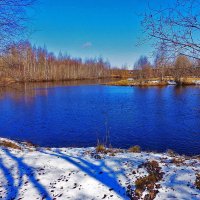 Майская пороша на лесном озерце! :: Владимир 