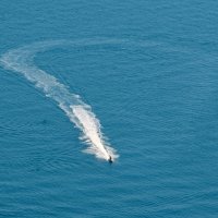 Морские прогулки на гидроцикле :: Сергей М 