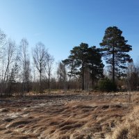 Погода в апреле :: Галина Минчук