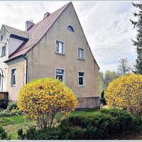 Весеннее. :: Валерия Комова