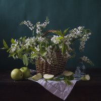 Черемуховые холода. :: Оксана Евкодимова