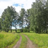 Лесные приключения :: Дмитрий Петров
