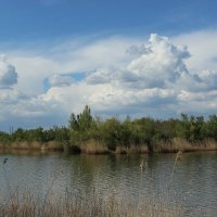 Донские зарисовки. :: Виктор Донские зарисовки. :: Виктор