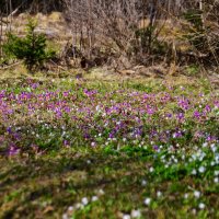 - :: Владимир Мигонькин