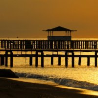 Утро :: Юрий. Шмаков