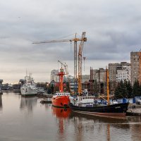 Калининград :: Дмитрий 