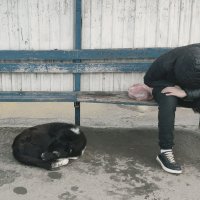 тихий сон... :: Любовь 