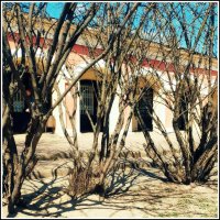 торговые ряды в Киржаче :: Любовь 