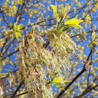 1 мая 2023 :: Наталья Герасимова